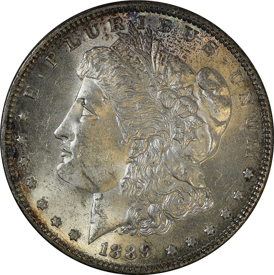 USA Morgan Dollar 1889 — Silver
