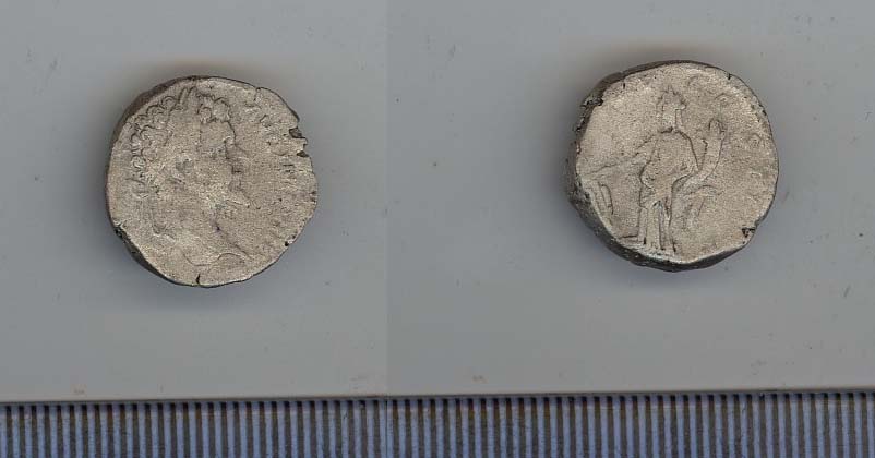 Roman Denarius — Septimius Severus, Silver